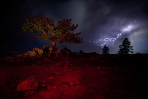 Lightning at Wrangler's Tree, Outside of Encampment, Wyoming