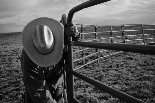 Cowboy, Wyoming, Gate, Cowboy Hat