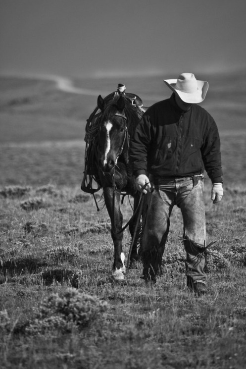 A Cowboy walks his horse, Wyoming